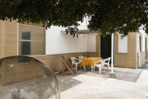 Bilocale mare ottimo prezzo vicino spiaggia m722